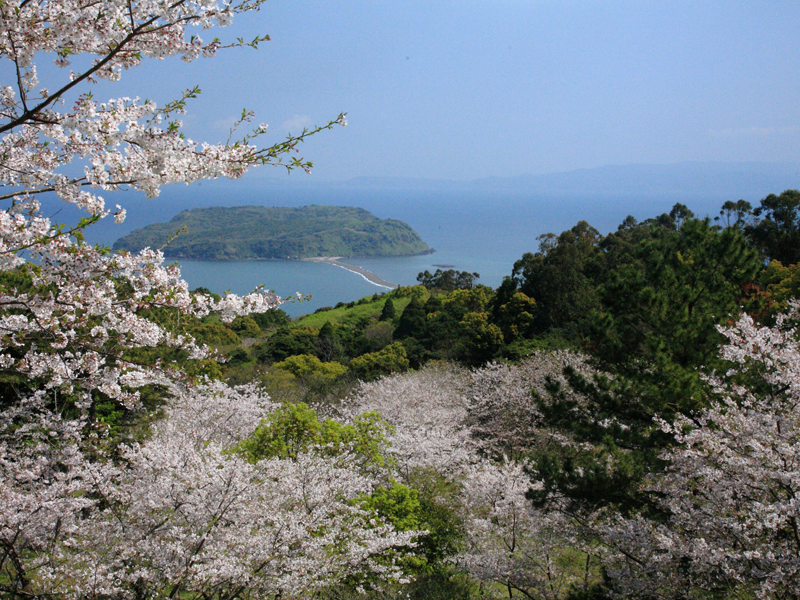 魚見岳