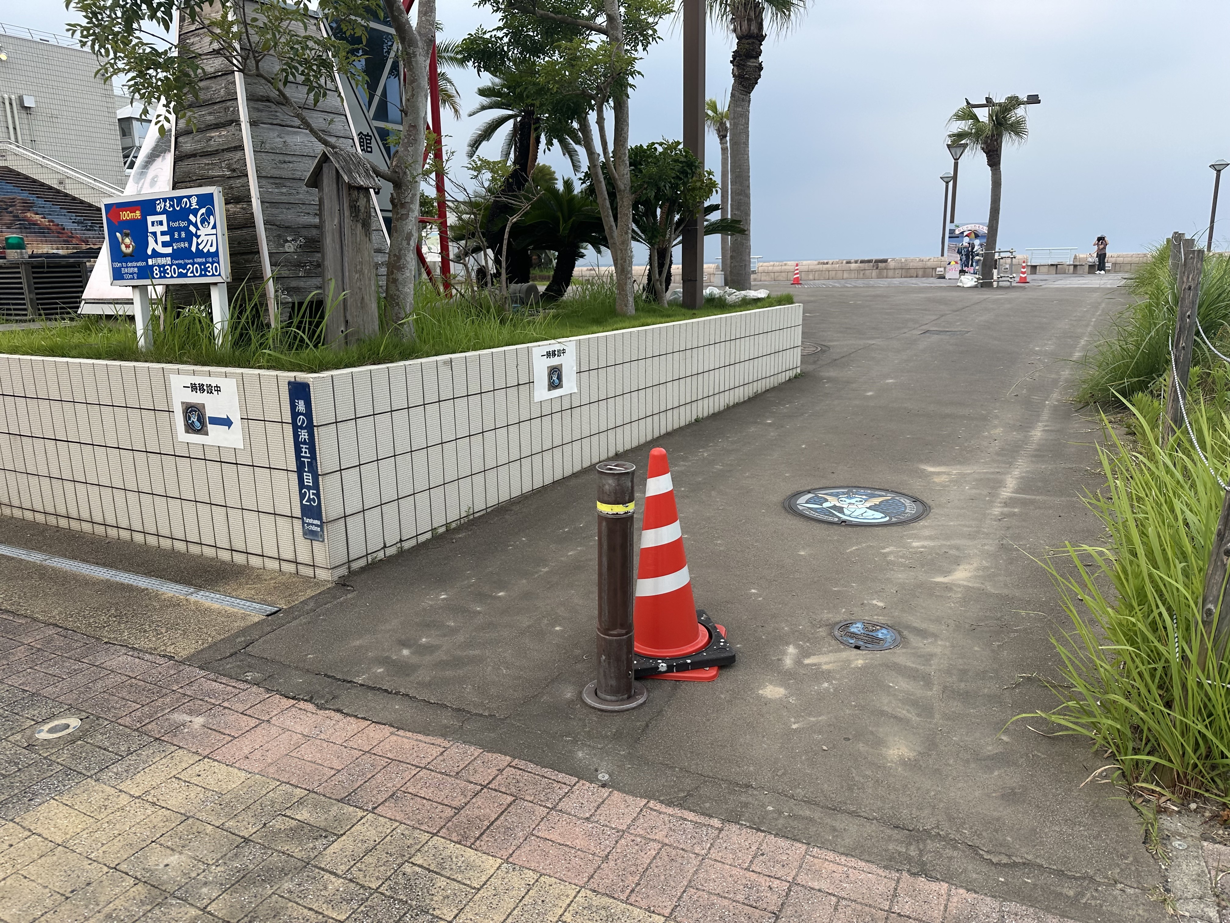 IMG_5374.jpeg