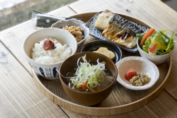 WASHOKU
