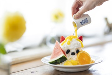 レトロピカル白熊