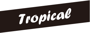 tropical