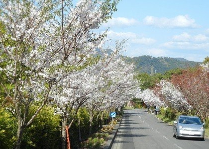 かいもん山麓ふれあい公園 いぶすき観光ネット