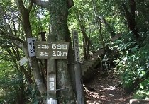 登山道5合目