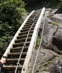 登山道9合目